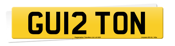 Registration number GU12 TON